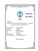 Giải pháp thúc đẩy xuất khẩu hàng dệt may và giày dép của Việt Nam sang thị trường Hoa Kỳ