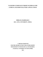 Nanostructured electrode materials for lithium and sodium battery applications 