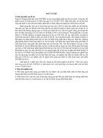 Phát hiện người lành mang gen đột biến CYP21A2 và chẩn đoán trước sinh bệnh tăng sản thượng thận bẩm sinh thể thiếu 21 hydroxylase (tt) 