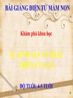 Bài giảng điện tử mầm non lớp Chồi đề tài Khám phá khoa học: Sự sinh sản và phát triển của gà