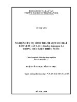 Nghiên cứu sự hình thành một số chất bảo vệ ở cây lạc (arachis hypogaea l ) trong điều kiện thiếu nước (LV01337)