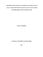 Microencapsulation of clostridium acetobutylicum cells and utilisation of samanea saman leaves for the production of biobutanol 