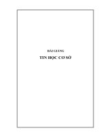 Tập bài giảng tin học cơ sở 