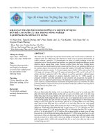 Khảo sát thành phần dinh dưỡng và lợi ích sử dụng bùn đáy ao nuôi cá tra trong nông nghiệp tại đồng bằng sông cửu long 