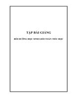 Tập bài giảng bồi dưỡng học sinh giỏi toán tiểu học 