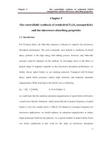 Synthesis of various magnetic nanostructures and the microwave characterizations 5 