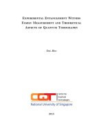 EXPERIMENTAL ENTANGLEMENT WITNESS FAMILY MEASUREMENT AND THEORETICAL ASPECTS OF QUANTUM TOMOGRAPHY 