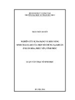 Nghiên cứu sự đa dạng và khả năng sinh cellulase của một số chủng xạ khuẩn ở xuân hòa, phúc yên, vĩnh phúc