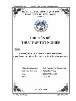 Tạo động lực cho người lao động tại công ty cổ phần thủy sản Bắc Trung Nam