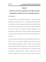 Synthesis of various magnetic nanostructures and the microwave characterizations 6 
