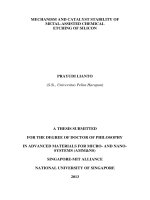 Mechanism and catalyst stability of metal assisted chemical etching of silicon 
