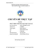 Phát triển quan hệ thương mại Việt Nam  EU