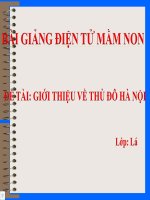 Bài giảng điện tử mầm non lớp Lá đề tài Giới thiệu về thủ đô Hà Nội
