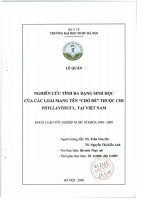 Nghiên cứu tính đa dạng sinh học của các loài mang tên chó đẻ thuộc chi phyllanthus l tại việt nam
