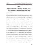 Synthesis of various magnetic nanostructures and the microwave characterizations 4 