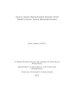 Visual image recognition system with object level image representation 