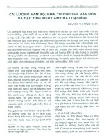 Cải lương nam bộ nhìn từ chủ thể văn hóa và đặc tỉnh biểu cảm của loại hình 