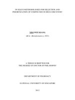 In silico methodologies for selection and prioritization of compounds in drug discovery 