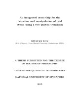 AN INTEGRATED ATOM CHIP FOR THE DETECTION AND MANIPULATION OF COLD ATOMS USING a TWO PHOTON TRANSITION 