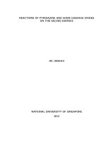 Reactions of pyridazine and some gaseous oxides on the GE(100) surface 
