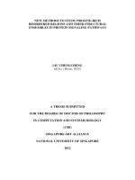 New methods to study proline rich disordered regions and their structural ensembles in protein signaling pathways 