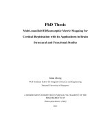 Multi manifold diffeomorphic metric mapping for cortical registration with its applications in brain structural and functional studies 