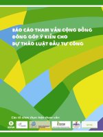 Báo cáo tham vấn cộng đồng đóng góp ý kiến cho dự thảo luật đầu tư công 