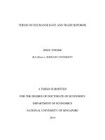 Thesis on exchange rate and trade reforms 