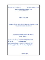 Nghiên cứu sản xuất bột ăn liền giàu protein, canxi, vitamin d cho phụ nữ có thai