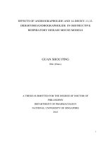 Effects of andrographolide and 14 deoxy 11, 12 didehydroandrographolide in obstructive respiratory disease mouse models 