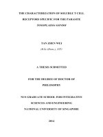 The characterization of soluble t cell receptors specific for the parasite toxoplasma gondii 