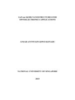 GAN ON  SI(100) NANOSTRUCTURES FOR OPTOELECTRONICS APPLICATIONS 