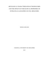 Mechanical characterization of biopolymer and the effects of mechanical properties of extracellular matrix on cell behaviours 
