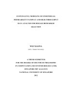 System level modeling of endothelial permeability pathway and high throughput data analysis for disease biomarker selection 