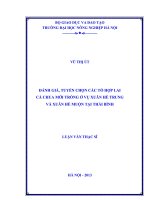 Đánh giá, tuyển chọn các tổ hợp lai cà chua mới trồng ở vụ xuân hè trung và xuân hè muộn tại thái bình