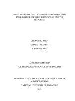 The role of CD8 t cells in the differentiation of TNF iNOS producing dendritic cells and TH1 responses 