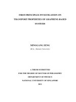 First principles investigation on transport properties of graphene based systems 