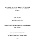 Functional cellulose derivatives and their applications in food and pharmaceutical products 