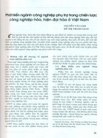 Phát triển ngành công nghiệp phụ trợ trong chiến lược công nghiệp hóa, hiện đại hóa ở việt nam