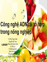 Công nghệ ADN tái tổ hợp trong nông nghiệp