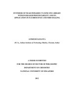 Synthesis of near infrared cyanine dye library with increased photostability and its application in fluorescence and SERS imaging 