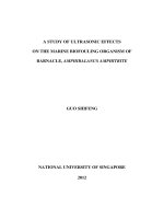A study of ultrasonic effects on the marine biofouling organism of barnacle, amphibalanus amphitrite 