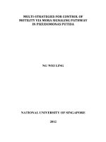 Multi strategies for control of motility via mora signaling pathway in pseudomonas putida 