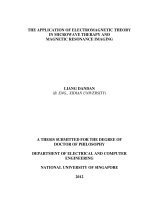 The application of electromagnetic theory in microwave therapy and magnetic resonance imaging 
