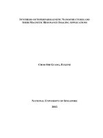 Synthesis of superparamagnetic nanostructures and their magnetic resonance imaging applications 