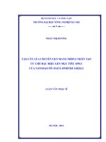 Tạo cây lúa chuyển gen mang mirna nhân tạo ức chế đặc hiệu gen mục tiêu MPG1 của nấm đạo ôn magnaporthe grisea