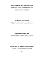 Applications of prolyl hydroxylase inhibitors in tissue engineering and regenerative medicine 