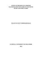 Study of microwave assisted magnetization dynamics in magnetic films and structures 