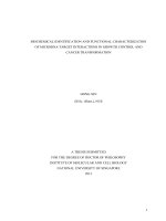 Biochemical identification and functional characterization of microrna target interactions in growth control and cancer transformation 