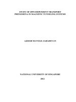 Study of spin dependent transport phenomena in magnetic tunneling systems 